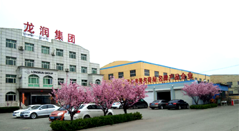 河北冈本视频下载